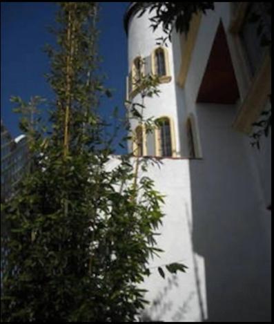 Welcome To Casa Viva Mexico 3-Bedrooms 2-Bathroms 6-Guests Close To Shoping Center & Beach 提华纳 外观 照片